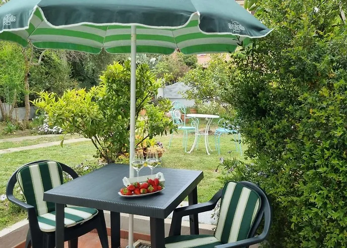 In Con Veranda Privata E Parcheggio Gratuito Semesterbostad Olbia